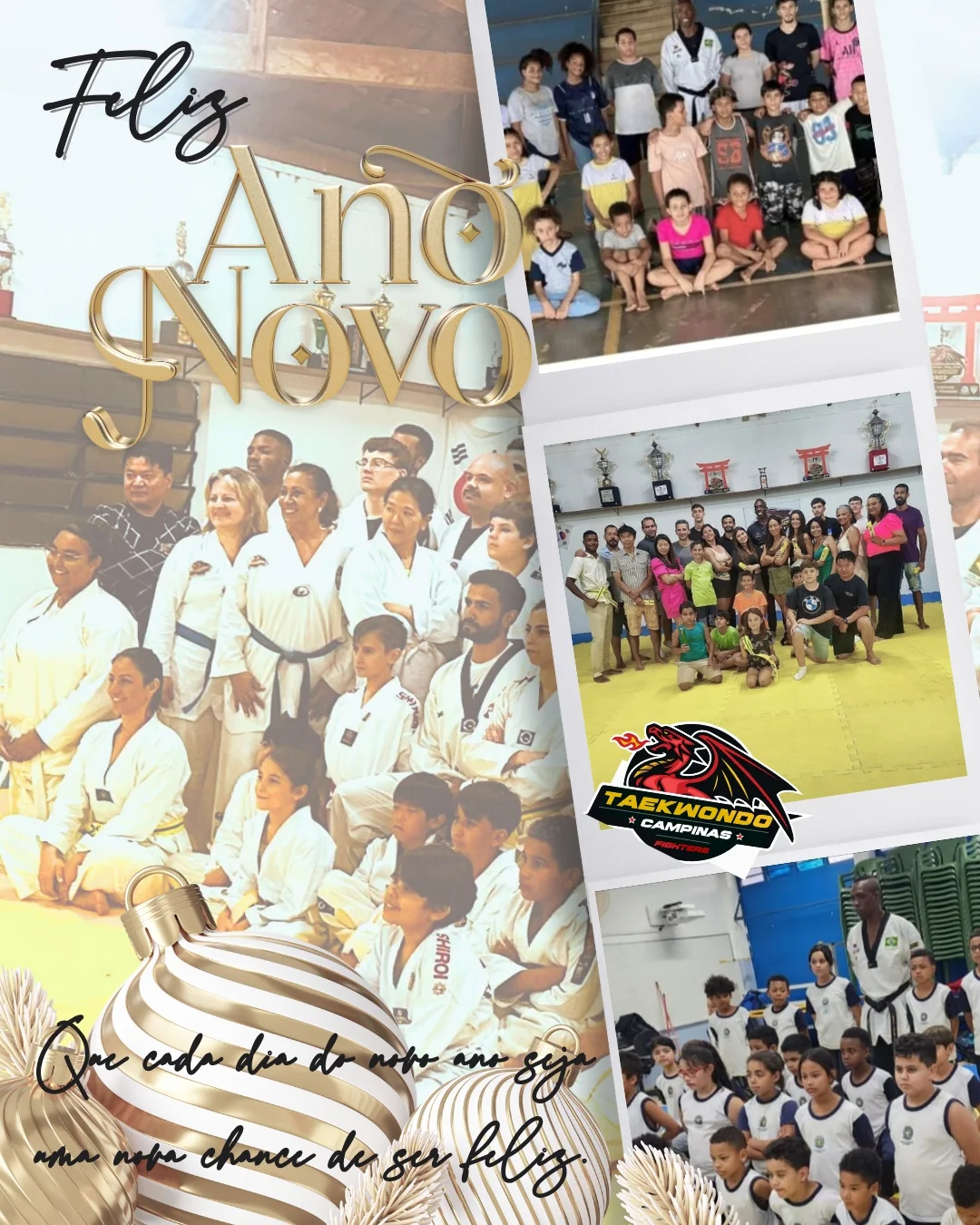 A Campinas Fighters deseja a todos um feliz ano novo!